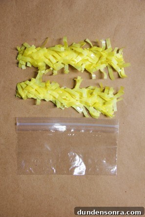 diy-party-favor-bags