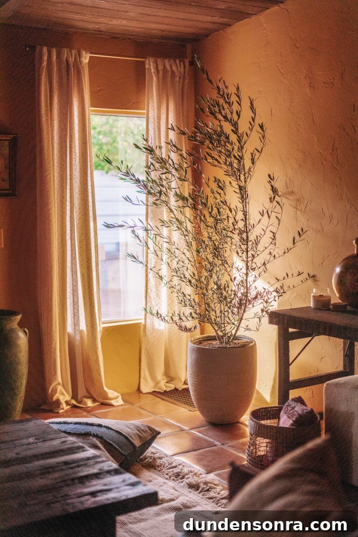 Ochre Living Room Walls with Olive Tree