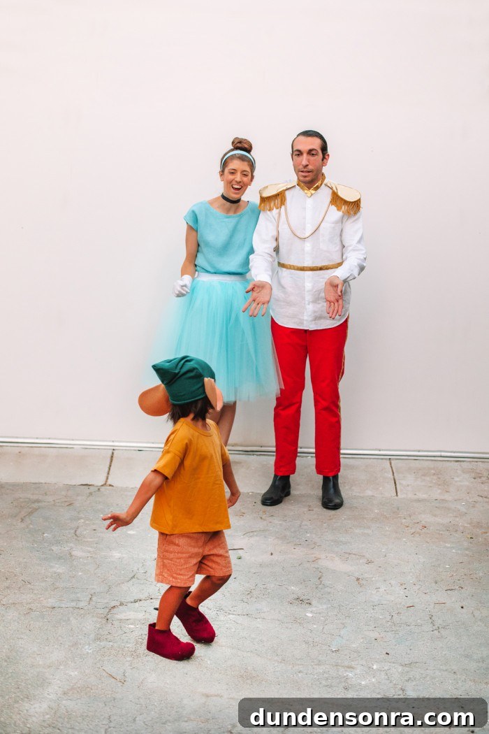 DIY Cinderella Family Costume