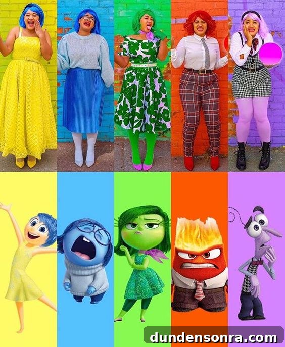inside out costumes