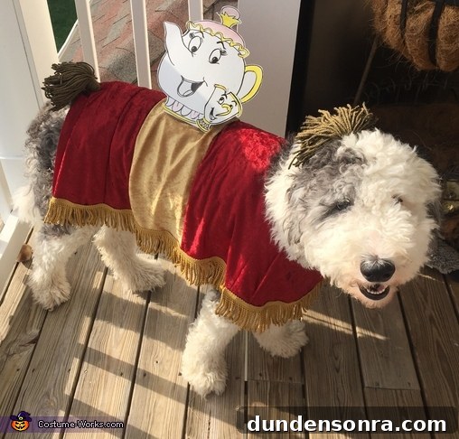 dog dressed as footstool from beauty and the beast
