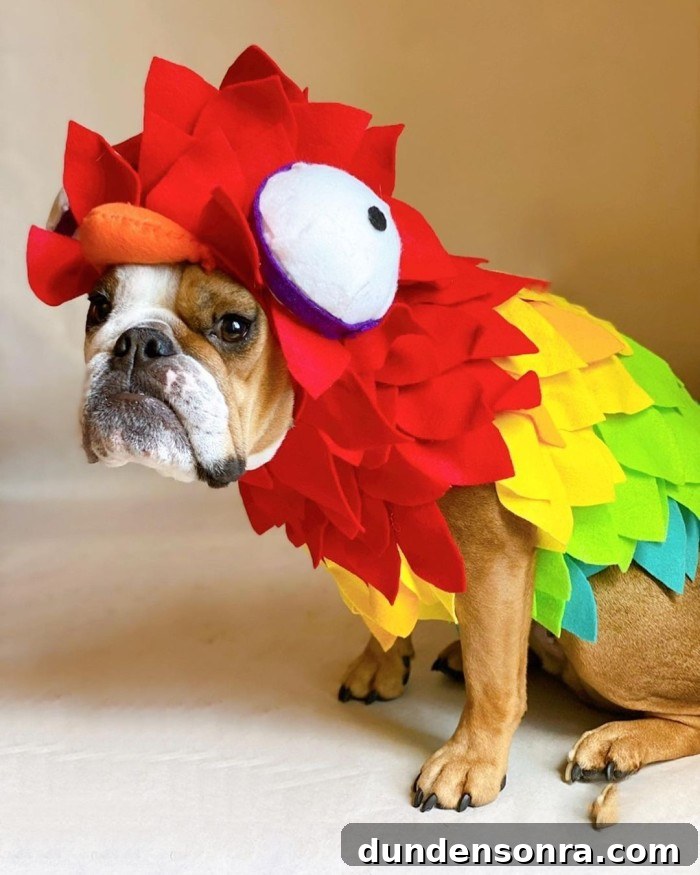 Parrot Dog Disney Costume
