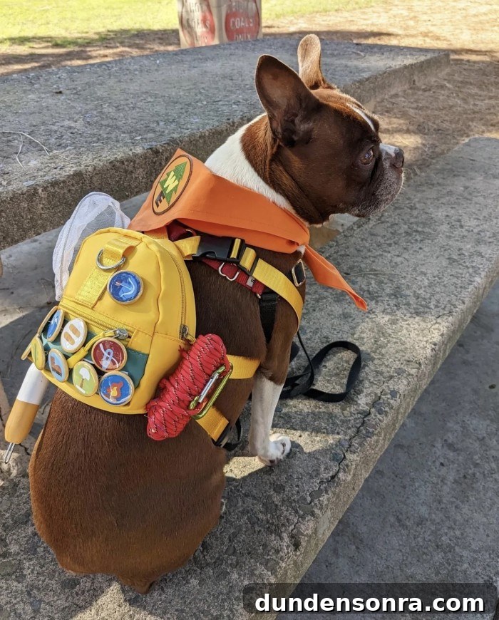 dog dressed up as Russell from Up