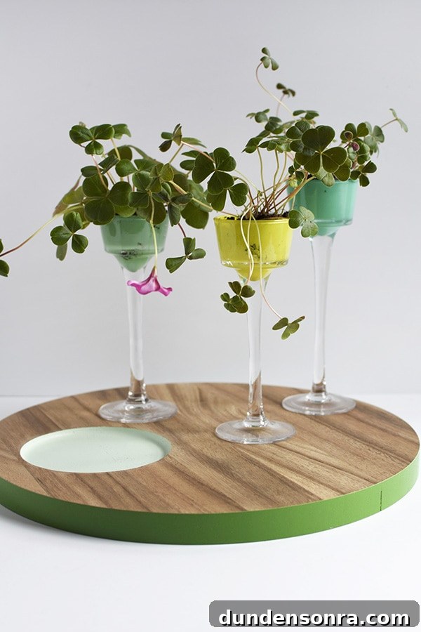 Four Leaf Clover Planters Three tall planters with clovers planted inside.