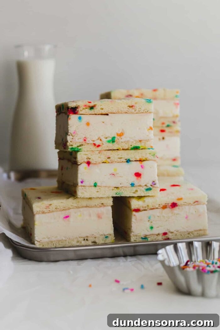 Ice Cream Party Ice cream sandwiches with birthday sprinkles in them.