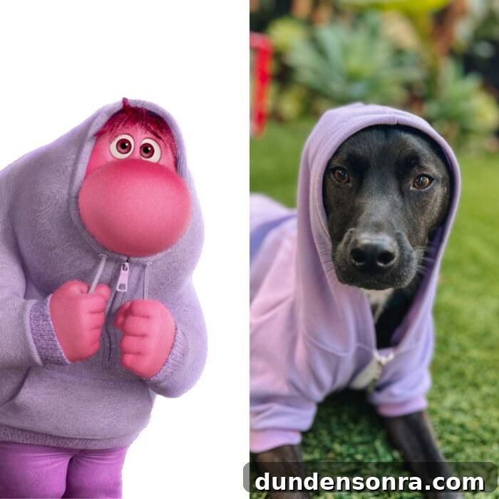 side by side of embarrassment from Inside Out and a dog
