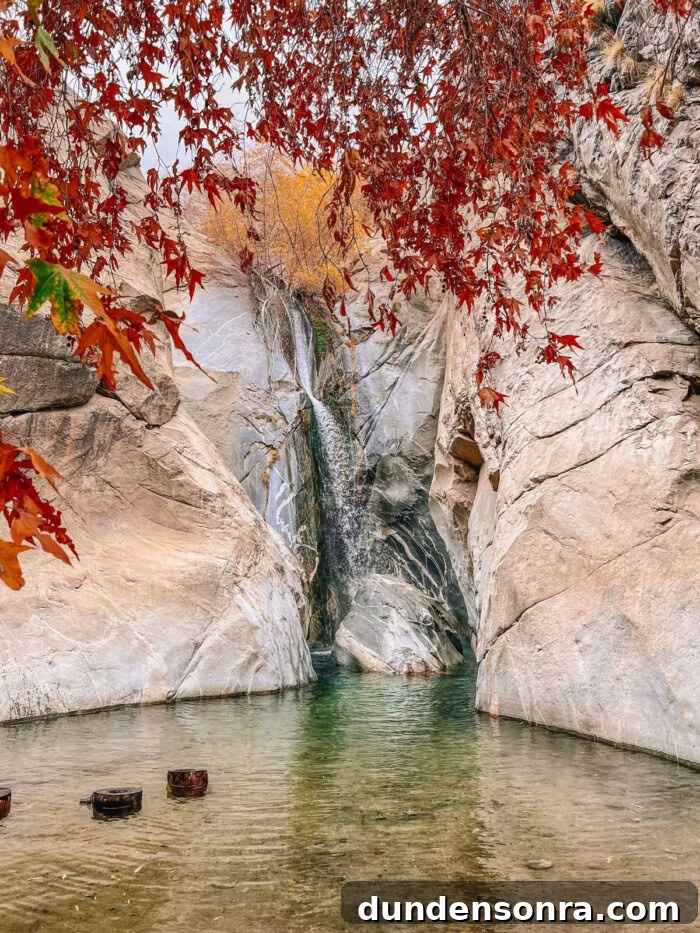 Palm Springs Travel Guide: Top Restaurants, Shops & Attractions 19 Tahquitz Canyon