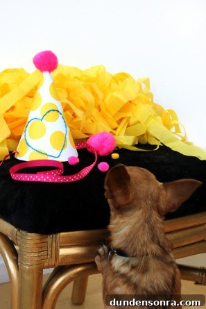 Party Hat DIY Tutorial