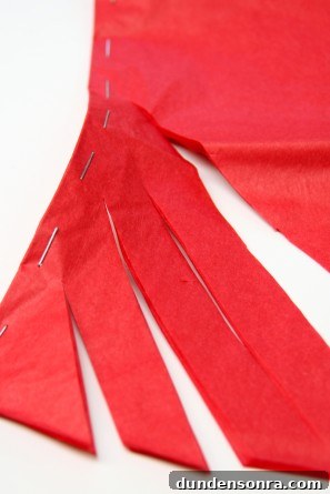 Fringe Backdrop Tutorial