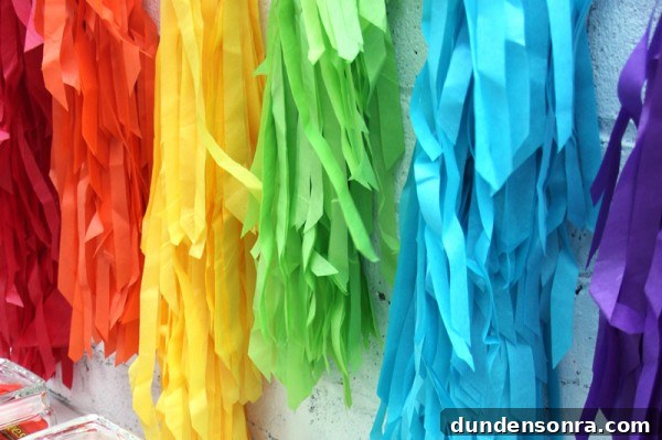 DIY Rainbow Fringe Backdrop
