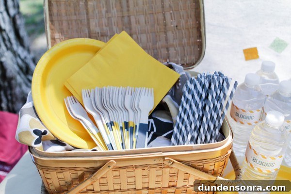 Picnic Utensils