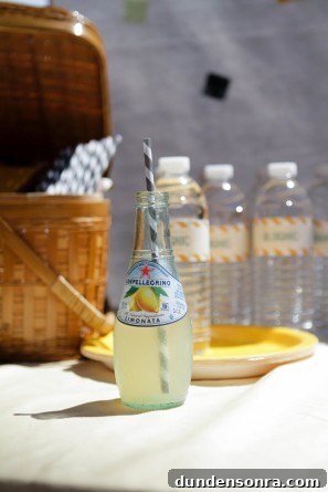 Blognic Drinks