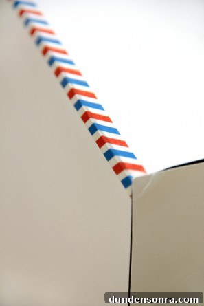 Air Mail Halloween Costume DIY