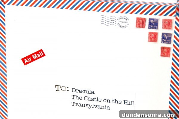DIY Air Mail Costume Tutorial