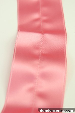 DIY Pink French Macaron Costume for Halloween DIY Pink French Macaron Costume for Halloween