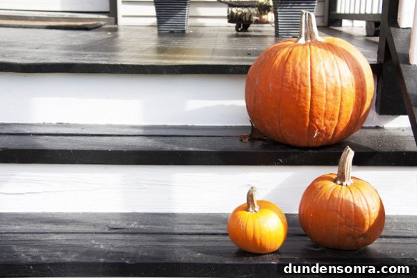 Pumpkin Birthday Party Pumpkin Birthday Party