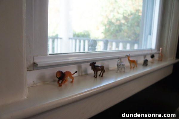 Toy Animal Birthday party Toy Animal Birthday party