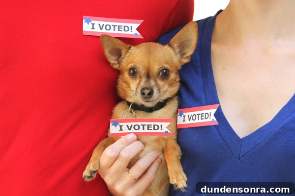 Voting Printables Voting Printables