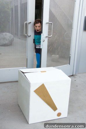 Surprise Birthday Box