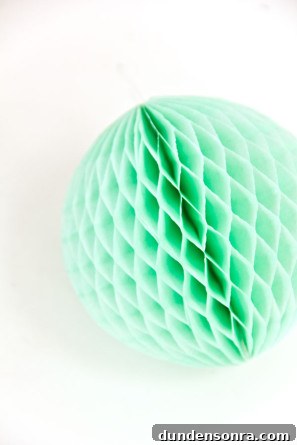 DIY Honeycomb Balls